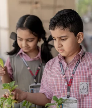 kindergarten in chennai 2